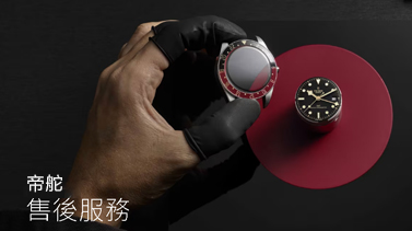 广东东莞帝舵维修服务中心地址